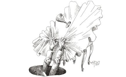 Fox cae en un hoyo (otra vez) 