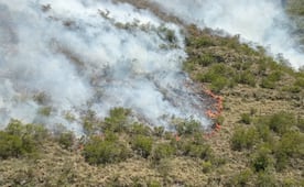 Rayo provoca incendio forestal en la Sierra de San Carlos, Tamaulipas; brigadistas trabajan para contenerlo