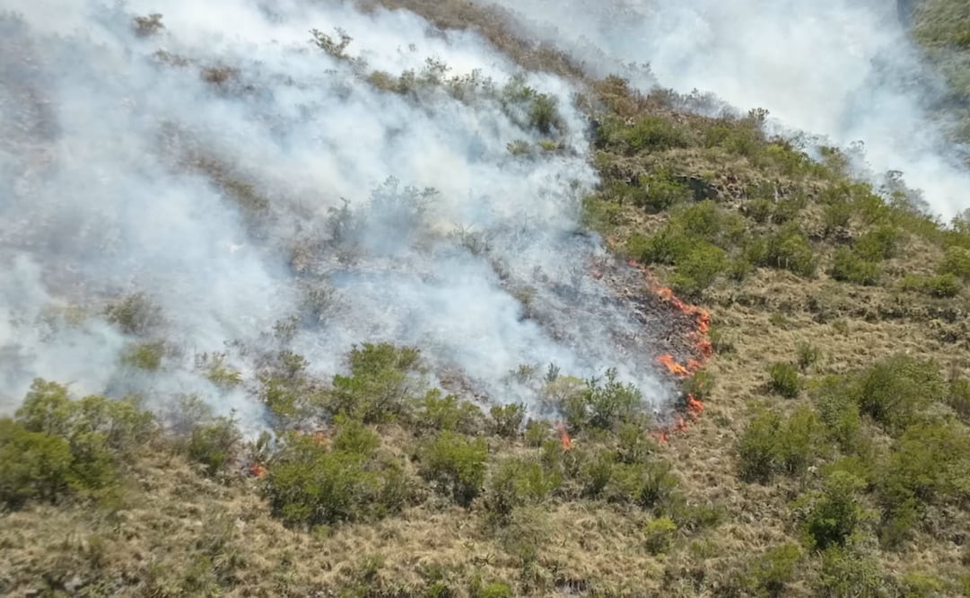 Rayo provoca incendio forestal en la Sierra de San Carlos, Tamaulipas; brigadistas trabajan para contenerlo.
Foto: Especial.
