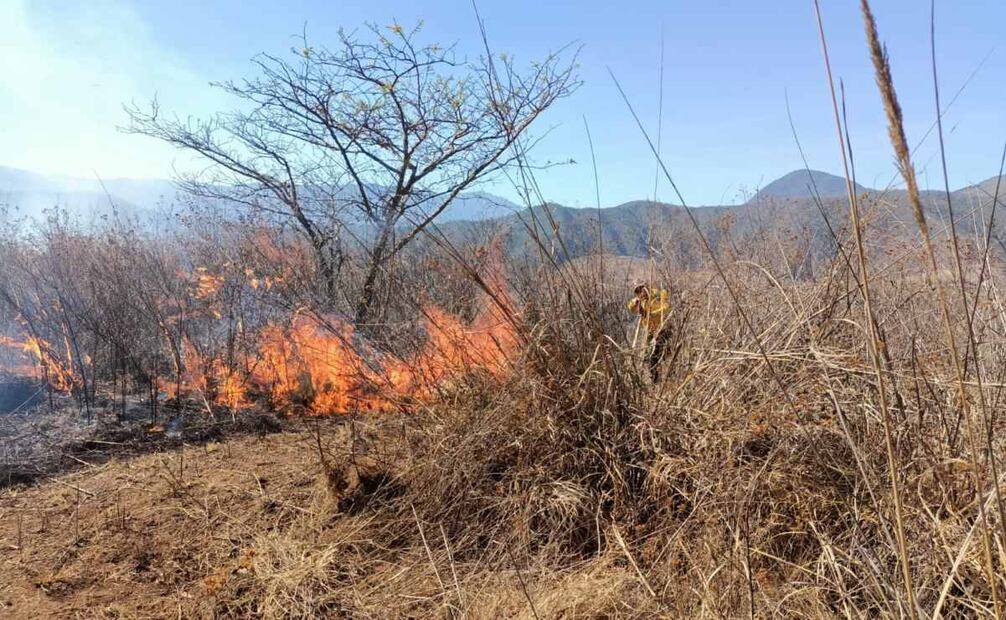 Veracruz ocupa el segundo lugar a nivel nacional con mayor número de incendios forestales de enero a la primera semana de marzo. Foto: Especial