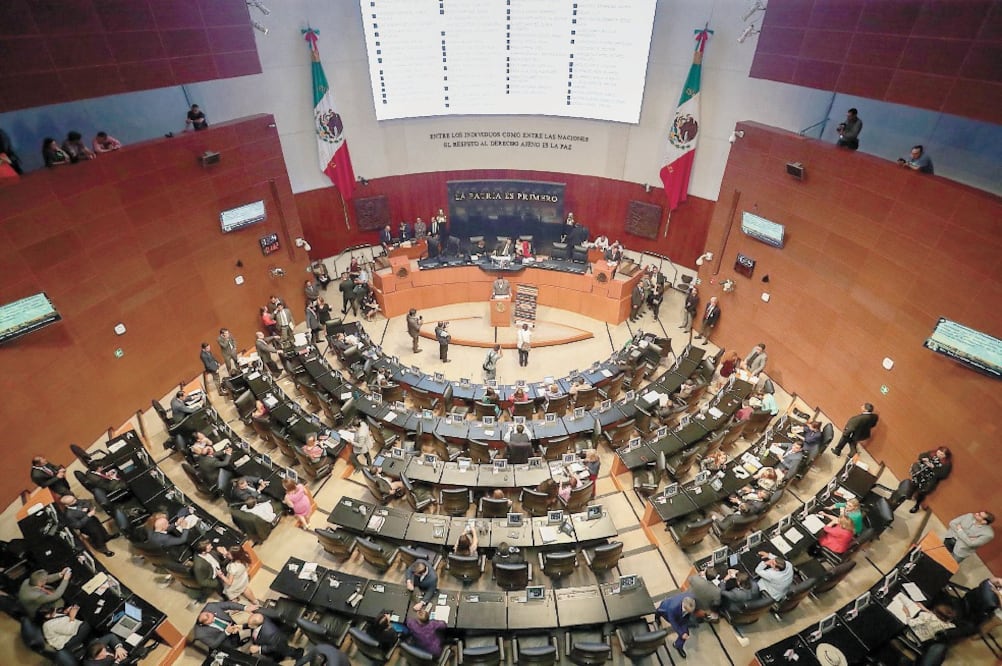 El decreto que extingue el Inaem fue aprobado con 57 votos a favor y 44 en contra, y fue turnado al Ejecutivo federal para su puesta en vigor. Foto: DIEGO SIMÓN. EL UNIVERSAL