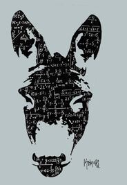 Los rebuznos de la 4T