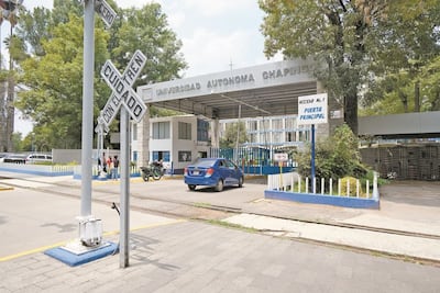 “En un momento, deseé que me mataran”; violan a jovencita adentro de la Universidad de Chapingo