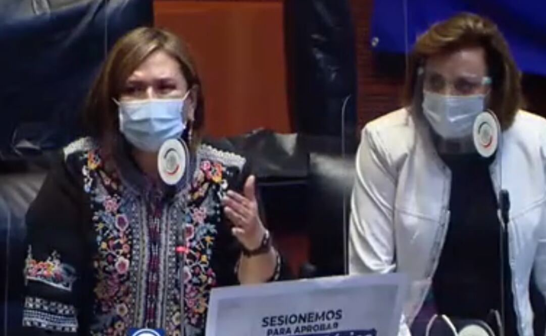 Senadora panista, Xóchitl Gálvez Ruiz. FOTO: captura de pantalla