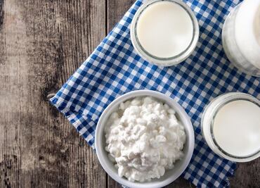 ¿Cuál es la diferencia entre prebiótico y probiótico y su función en los intestinos?