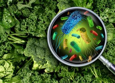 Qué alimentos no se pueden comer después de una intoxicación