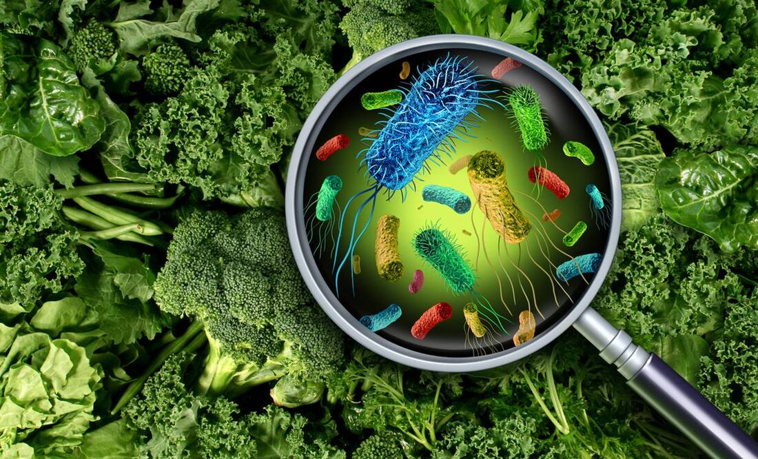 Bacterias en alimentos. Foto: iStock