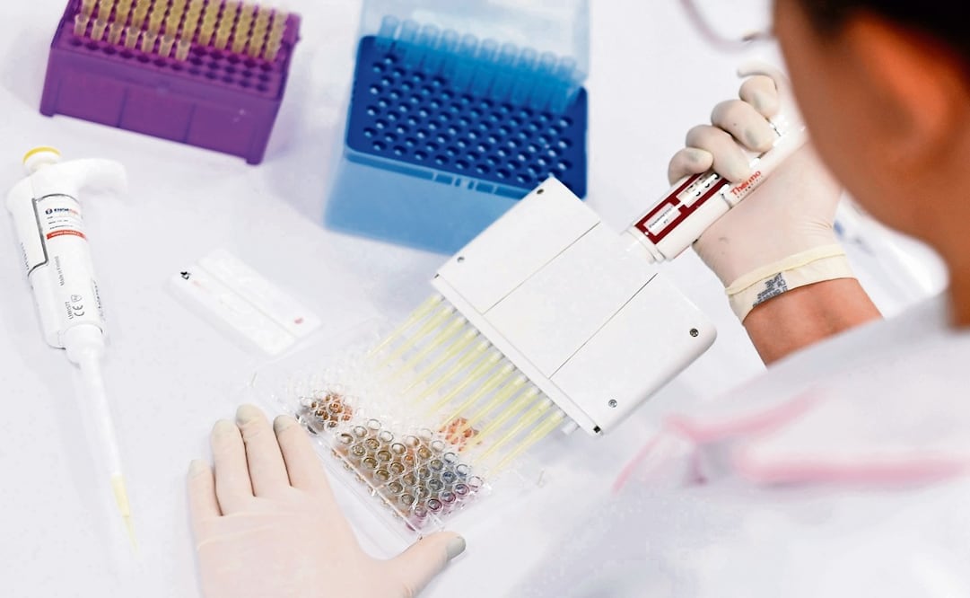 Los expertos reunieron muestras de sangre de una comunidad que habita en la región del Amazonas - Foto: Douglas Magno/AFP