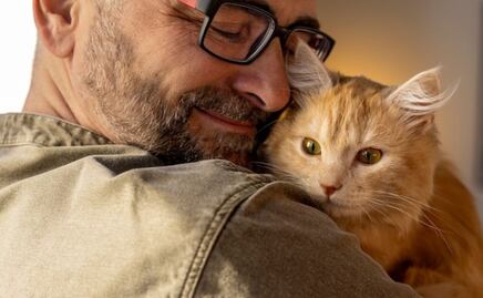 ¿De qué forma ven los gatos a las personas, según experto?