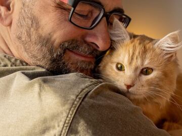 ¿De qué forma ven los gatos a las personas, según experto?