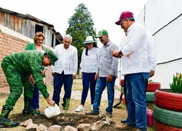 En la sierra, prevén plantar 380 millones de árboles