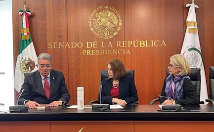 Frente Amplio Democrático pide al Senado parlamento abierto sobre reforma electoral; busca “proceso abierto y plural”