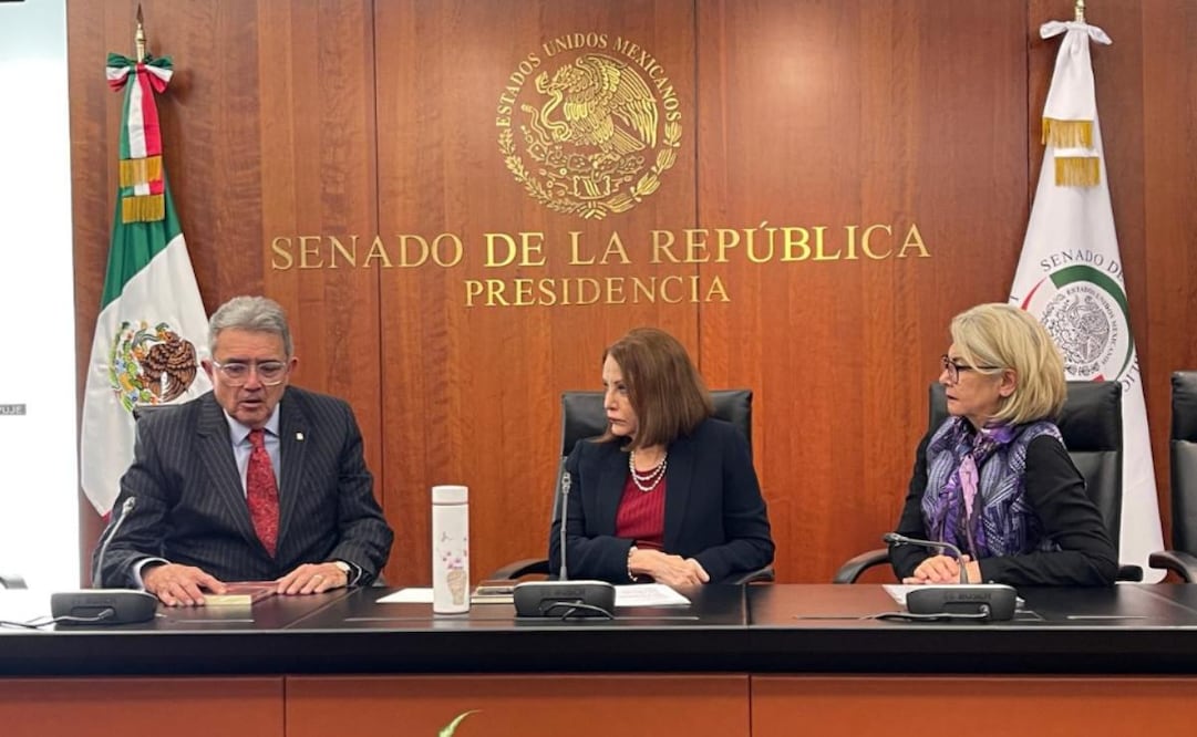 Una comitiva del Frente Amplio Democrático fue recibida en el Senado de la República por la presidenta de la Mesa Directiva, Laura Itzel Castillo, este lunes 16 de febrero de 2026. Foto: Especial