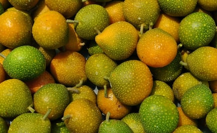 Harina yucateca de origen vegetal