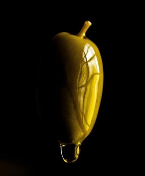 El aceite de oliva evita la formación de tumores malignos (cáncer)