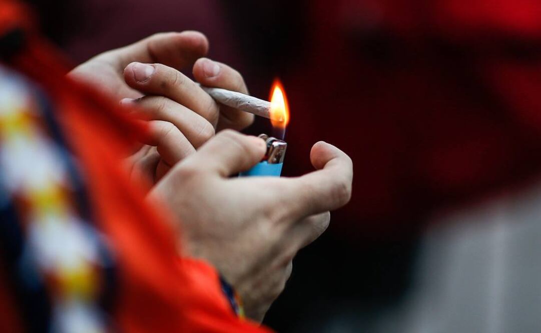 Ana Lilia Rivera subrayó que es un asunto que toca cuestiones de salud y de seguridad (Foto: EFE)