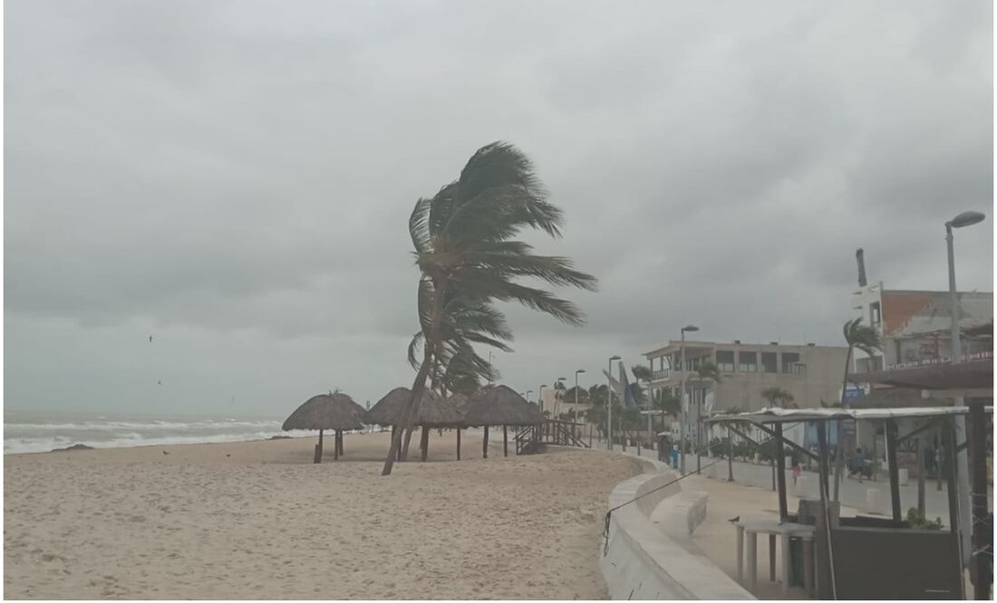 Se espera que en Yucatán continúe el clima frío con temperaturas mínimas de entre 9 y 11 grados centígrados (24/01/2025). Foto: Especial