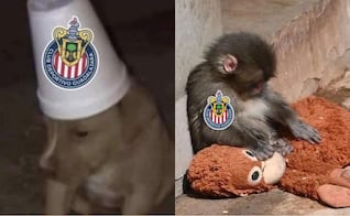 Memes reaccionan a victoria de Cruz Azul sobre Chivas