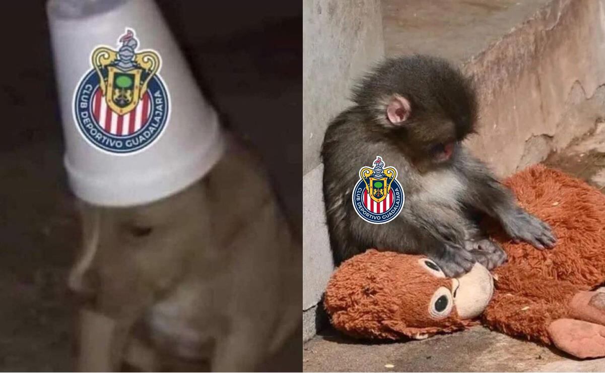 Memes reaccionan a victoria de Cruz Azul sobre Chivas