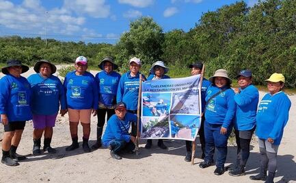 Otorgan a "Las Chelemeras", dedicadas a la restauración de manglares en Yucatán, premio "Héroe Local de Ocean 2023"