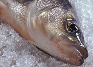 ¿Cómo escoger un buen pescado?