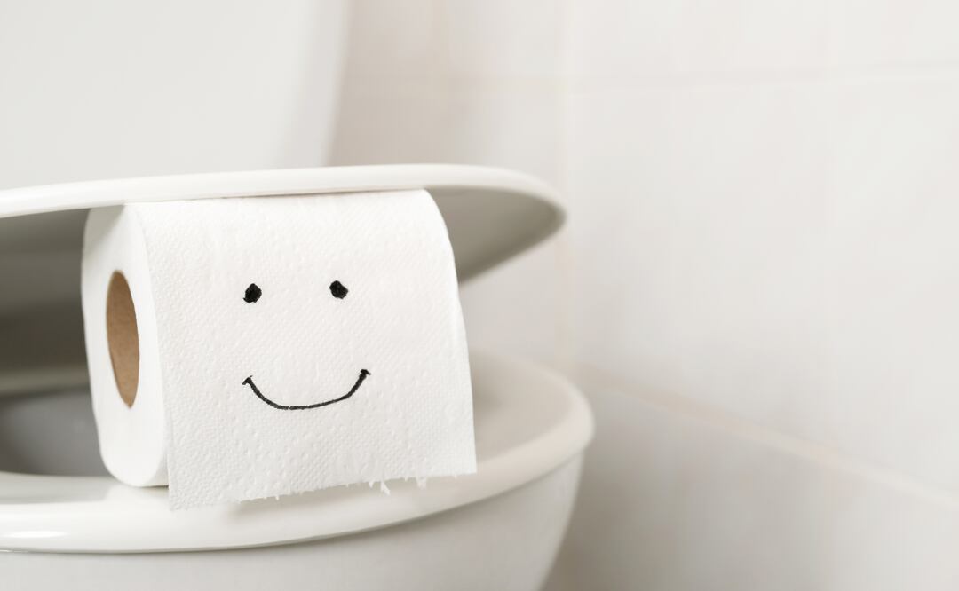 La UNAM y expertos en higiene explican por qué tirar el papel higiénico en el inodoro es la mejor opción para evitar la proliferación de microorganismos y reducir el impacto ambiental.
Foto: Captura de pantalla