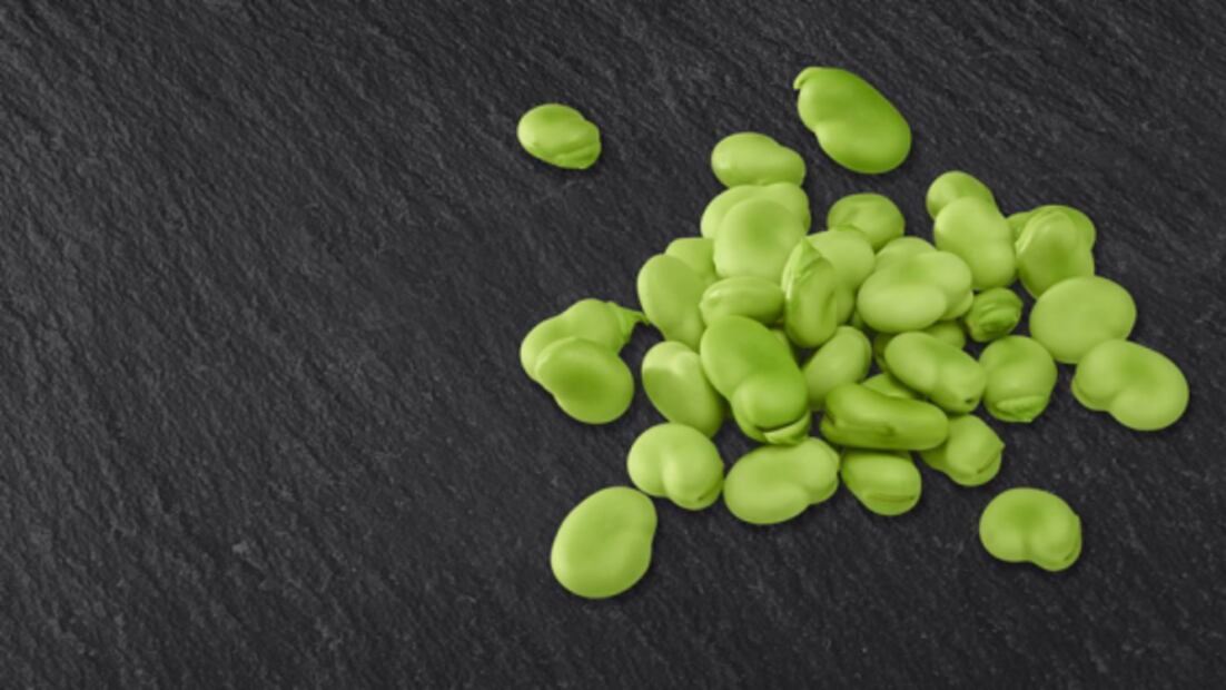 Conoce los 50 alimentos del futuro