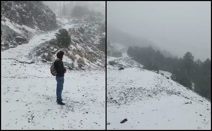 Reportan caída de aguanieve en Cofre de Perote, Veracruz