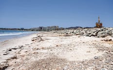 Denuncian daño ambiental en playas Las Cocinas en Nayarit; desarrollo amenaza anidación de tortugas