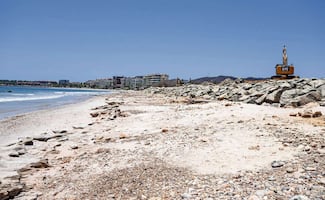 Denuncian daño ambiental en playas Las Cocinas en Nayarit; desarrollo amenaza anidación de tortugas