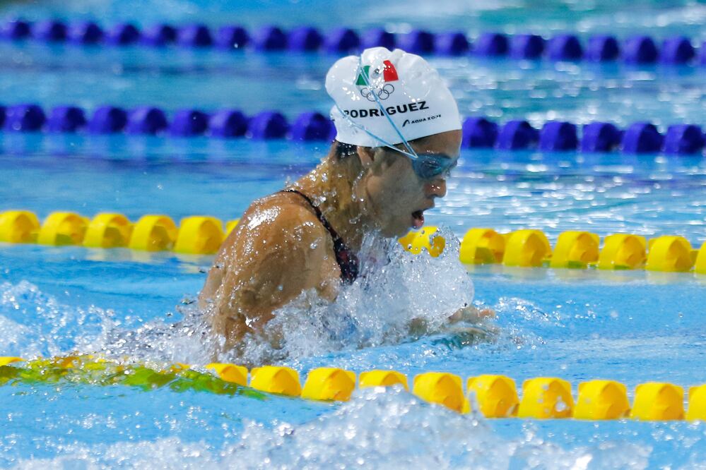 La unión hace la fuerza