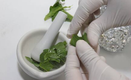 Piden a Conacyt que restituya a la biotecnología en el reglamento del SNI