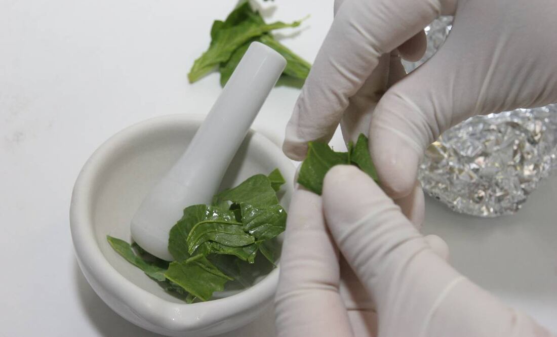 (Foto: Archivo / EL UNIVERSAL)