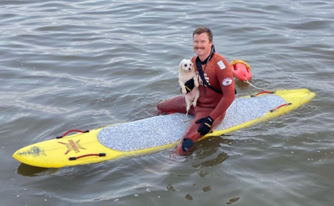 Los socorristas rescataron a un pequeño perro blanco que nadaba mar adentro en Long Bech. Foto: Instagram @longbeachlifeguard