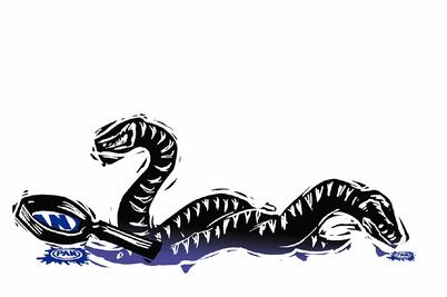 El achicamiento del PAN