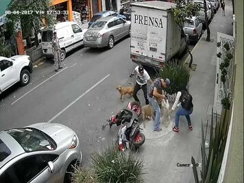 Nuevo ataque de pitbull a mascota y su dueño