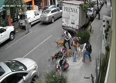 Nuevo ataque de pitbull a mascota y su dueño