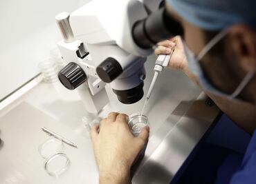 Sin donantes de gametos, la reproducción asistida para mujeres afrodescendientes es limitada