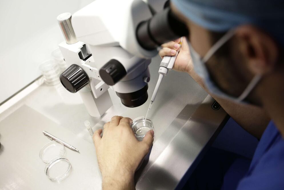 técnica de Fecundación In Vitro. Foto: EFE, archivo 