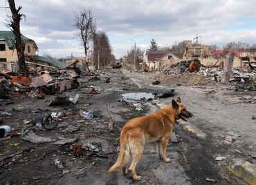 NYT publica imágenes que contradicen versión rusa sobre ataques en Bucha