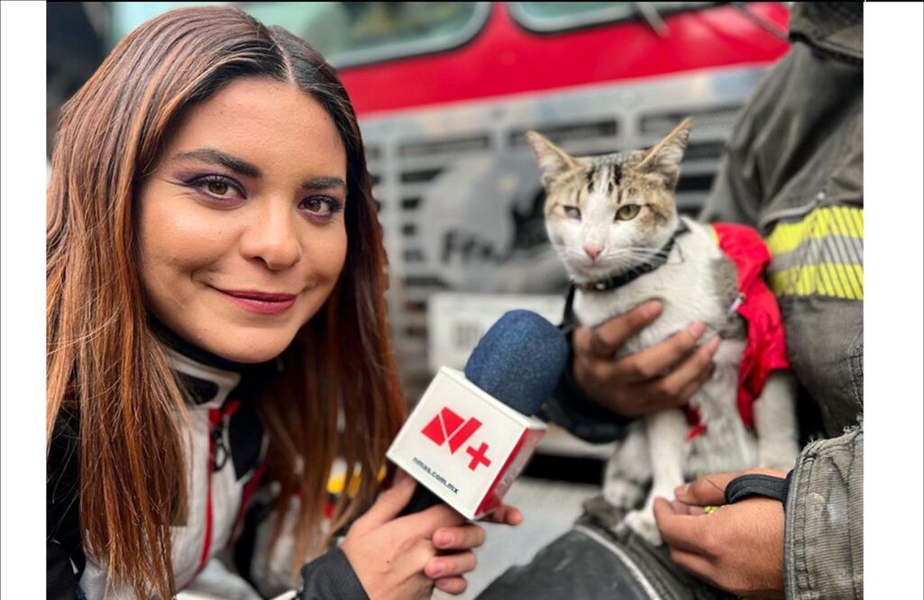 FOTO: tomada de Instagram @i_alanis /EL UNIVERSAL/