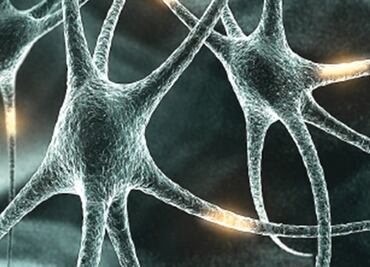 Imágenes 3D de neuronas ayudarán a combatir la Esclerosis Lateral Amiotrófica