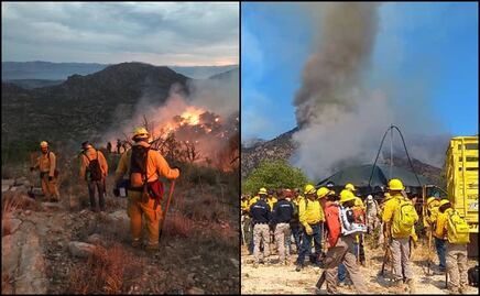 Incendios devastan miles de hectáreas de vegetación y especies silvestres en sierra de Sonora