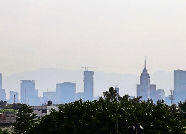 “Polución, causa de males crónicos”