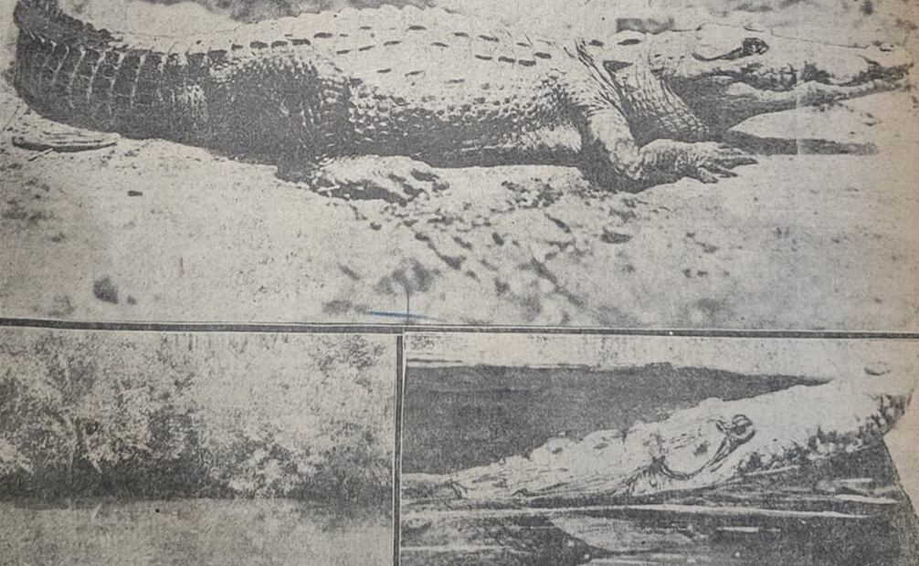 Foto: Hemeroteca EL UNIVERSAL