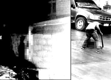 Video. En Hidalgo machetean y cuelgan a perritos vivos; pobladores acusan desinterés de autoridades