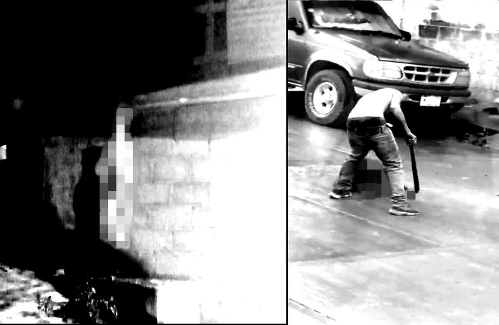 Video.En Hidalgo machetean y cuelgan a perritos vivos; pobladores acusan desinterés de autoridades