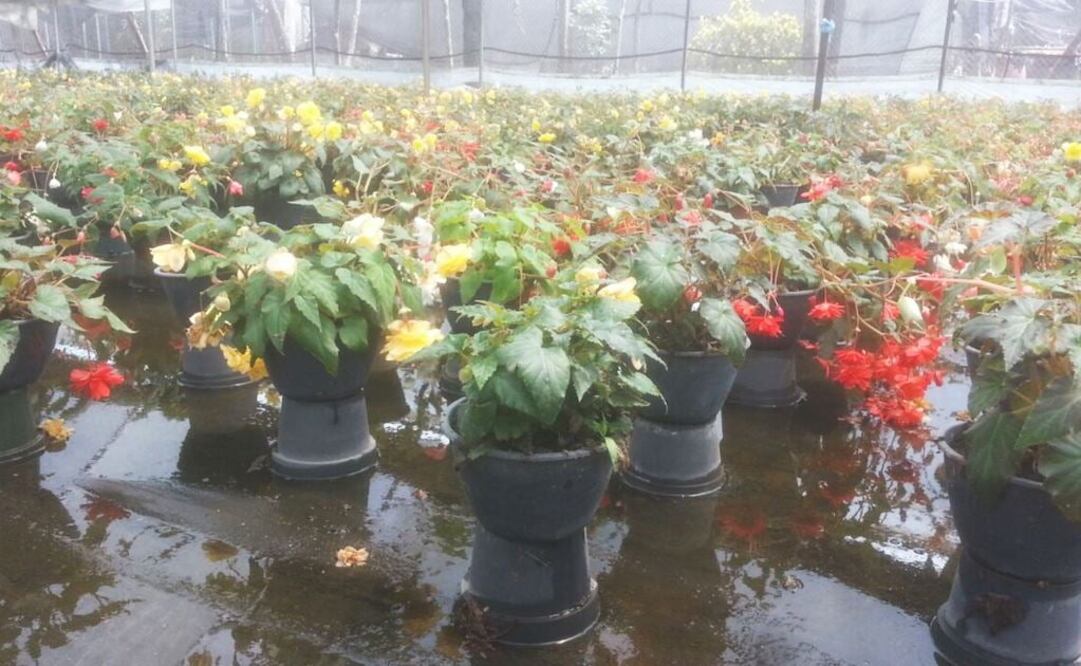 Foto: Héctor Martínez / EL UNIVERSAL