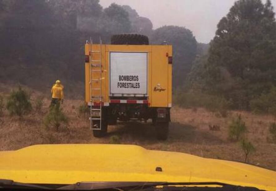 Michoacán concentra el 11.5 por ciento del total de incendios forestales del país