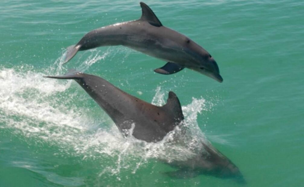 Dónde están los 11 nuevos Pueblos Mágicos y cuáles son sus atractivos